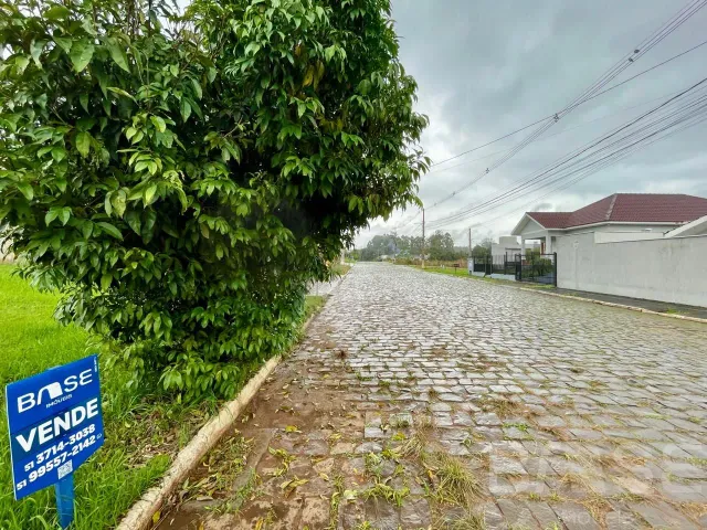 Terreno, foto 3