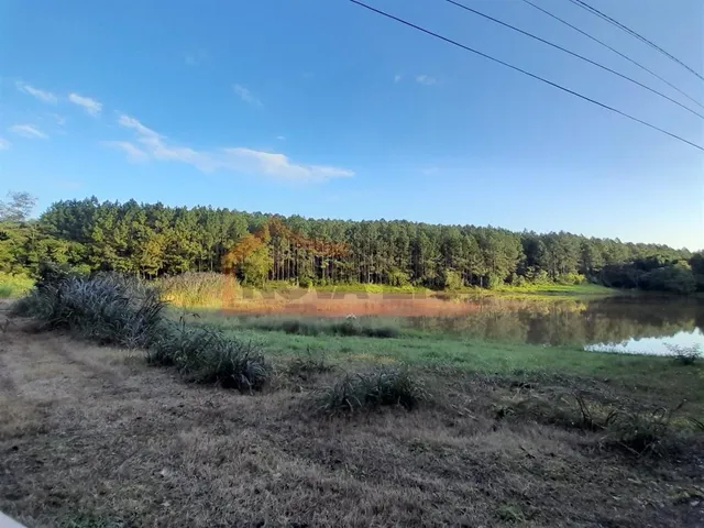 Área rural com 4 dormitórios, foto 2