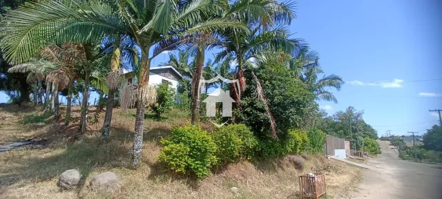 Terreno, foto 3