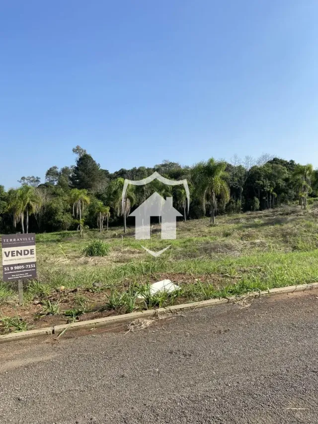 Terreno, foto 2