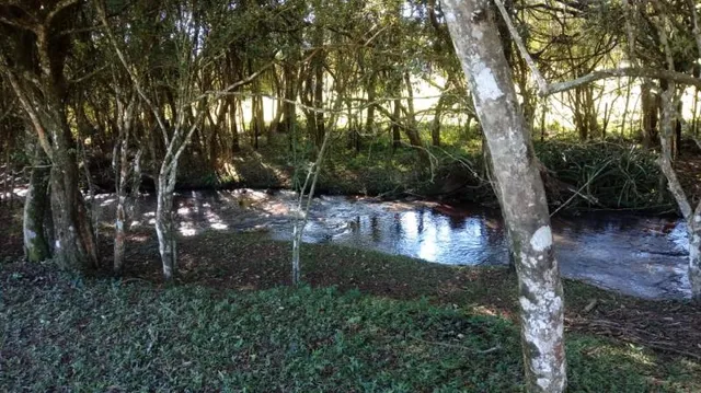 Área rural com 4 dormitórios, foto 4