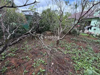 Casa com 2 dormitórios, foto 7