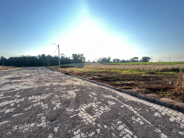 Terreno, foto 3