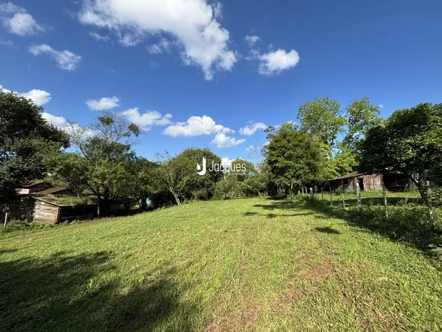 Vista de um campo gramado com árvores ao fundo.
