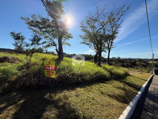 Paisagem de terreno com vegetação e árvores ao lado de um caminho.