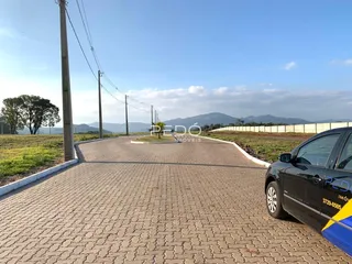Vista da estrada de acesso à propriedade em Lajeado.