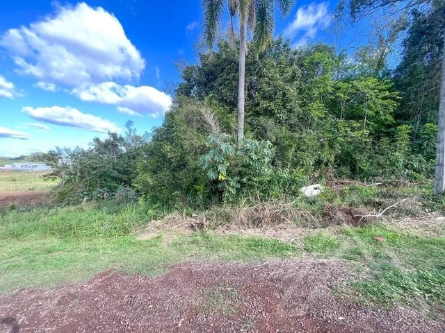 Terreno