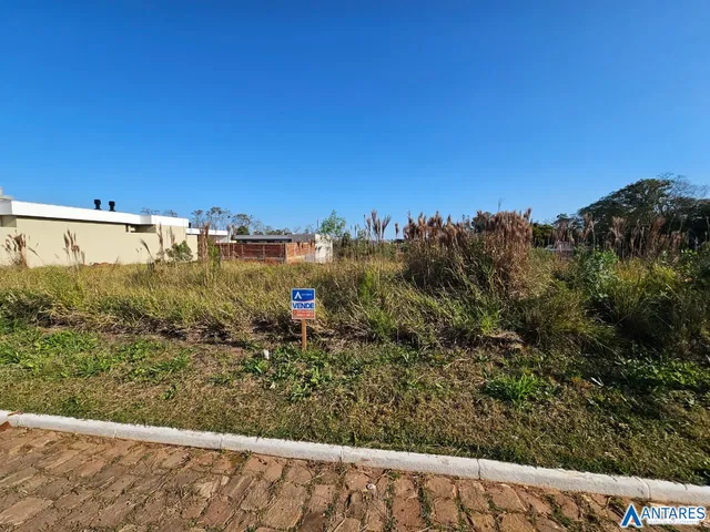 Terreno, foto 3
