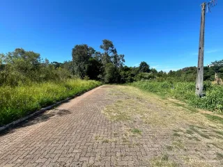 Terreno, foto 2