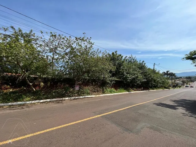 Terreno, foto 3