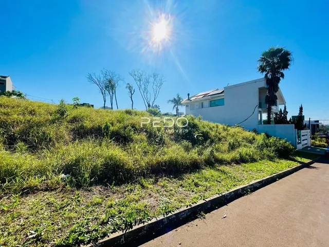 Terreno, foto 2
