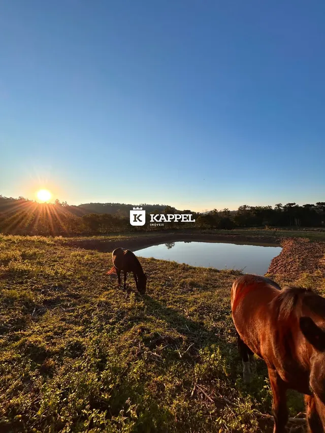 Área rural, foto 4