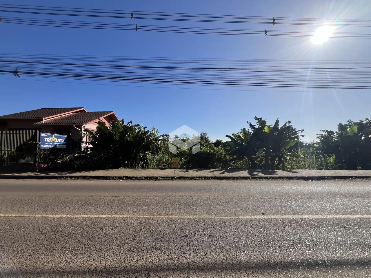 Terreno, foto 1