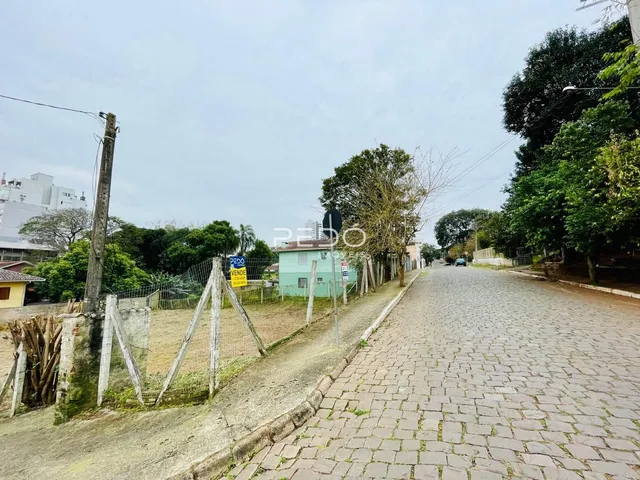 Terreno, foto 3