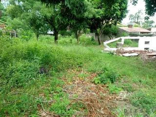 Terreno, foto 2