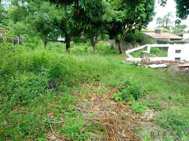 Terreno, foto 2
