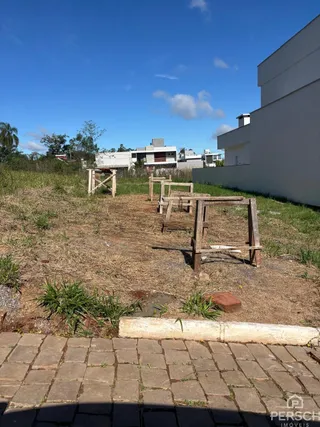 Terreno, foto 3