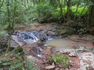 Vista de um riacho com cachoeira cercado por vegetação densa.