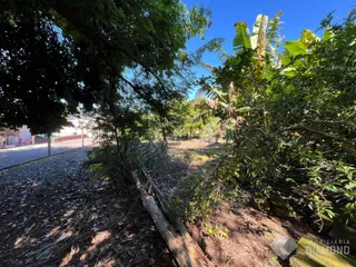 Área rural, foto 6