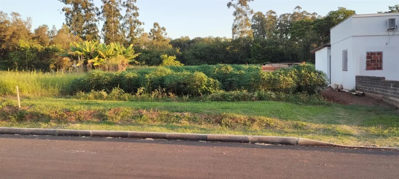 Terreno, foto 1