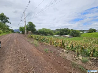 Terreno, foto 6