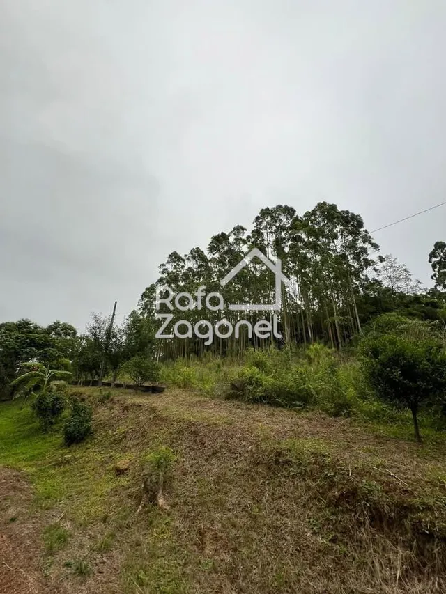 Área rural, foto 4