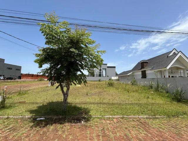 Vista externa de uma propriedade residencial em Lajeado, Brasil, com uma grande árvore no jardim.
