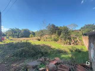 Paisagem de terreno com vegetação densa e uma parede de alvenaria no primeiro plano.