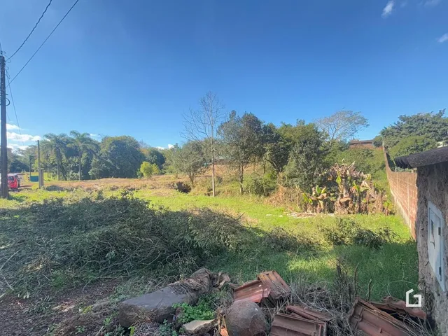 Paisagem de terreno com vegetação densa e uma parede de alvenaria no primeiro plano.