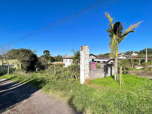 Terreno, foto 2