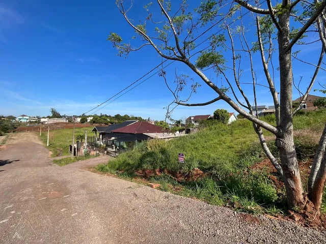 Terreno, foto 3