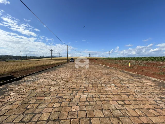 Vista da estrada de acesso a uma propriedade rural em Lajeado.