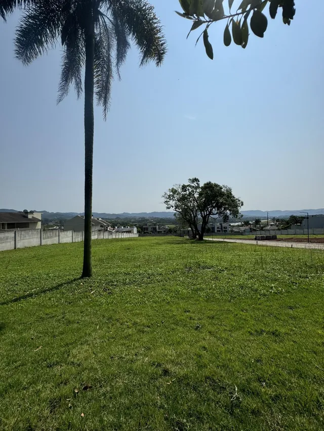 Terreno, foto 4