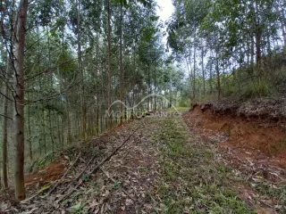 Área rural, foto 5