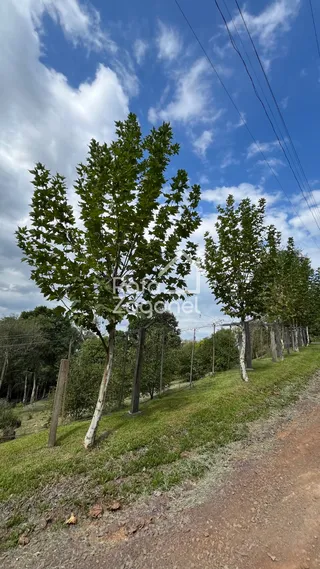 Área rural, foto 10