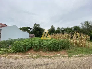 Terreno, foto 1