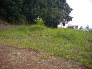 Terreno, foto 2