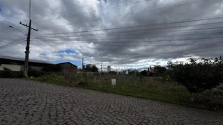 Terreno, foto 1
