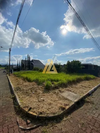Terreno, foto 3