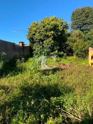 Terreno, foto 5