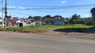 Terreno, foto 3