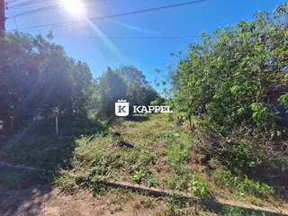 Terreno, foto 3
