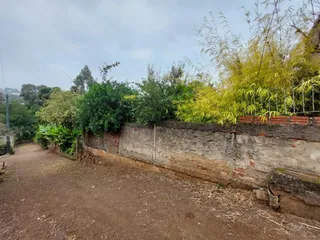 Casa com 5 dormitórios, foto 4