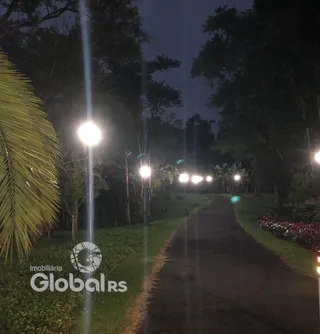 Paisagem de rua arborizada com gramado e árvores ao anoitecer.