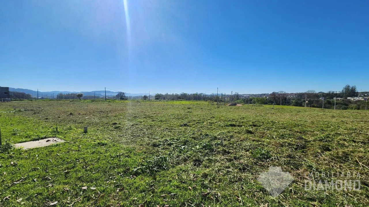 Terreno, foto 1