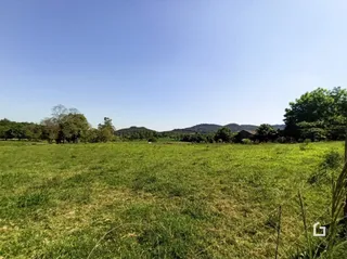 Campo verde aberto sob um céu azul.