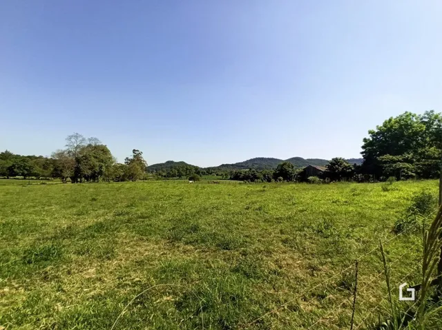 Campo verde aberto sob um céu azul.