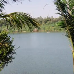 Área rural, foto 17