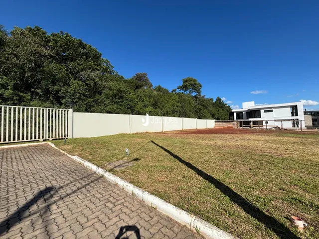 Terreno, foto 4