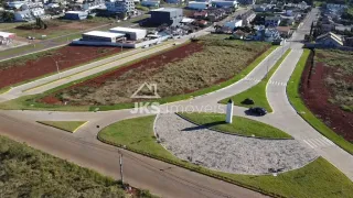 Terreno, foto 6
